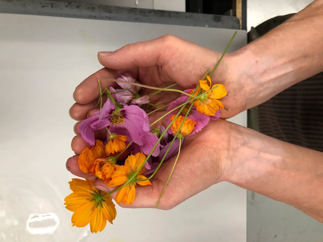 Two Day Workshop - Pigment Foraging and Ink Making (NPS)