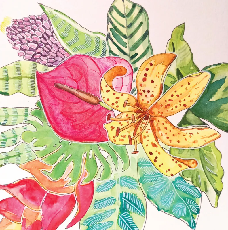 Botanical Illustration