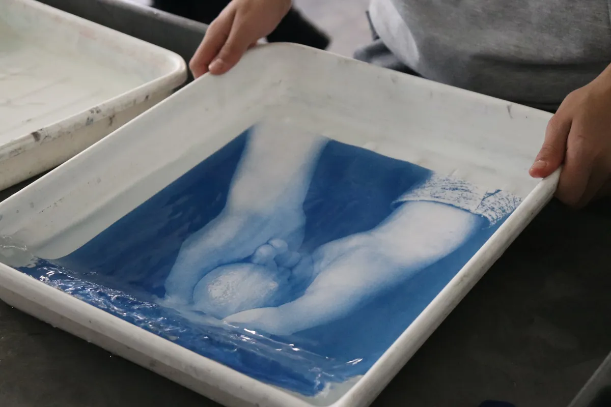 Intro to Cyanotypes (NPS)