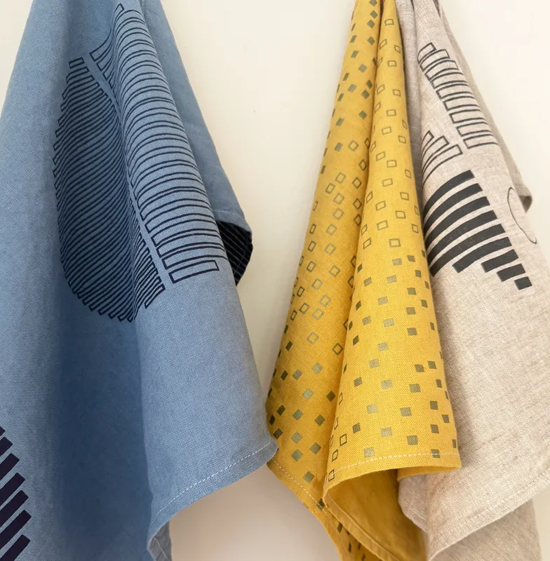 Five Day Class - Professional Development: Screen Printing a Product and Building a Business (NPS)