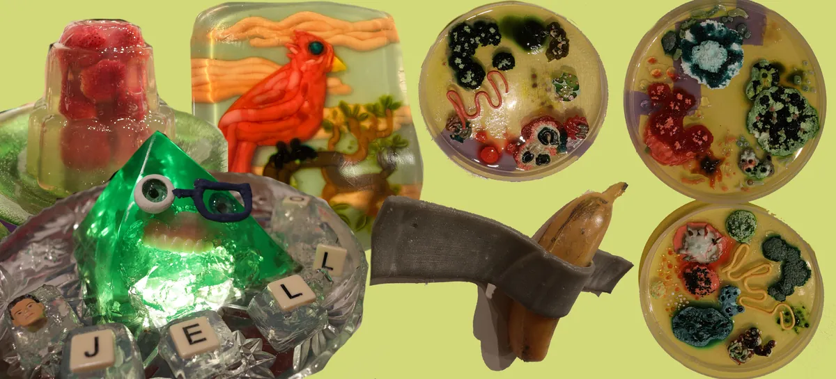 Free One Day Workshop - Jello Sculpture Building  (NPS)