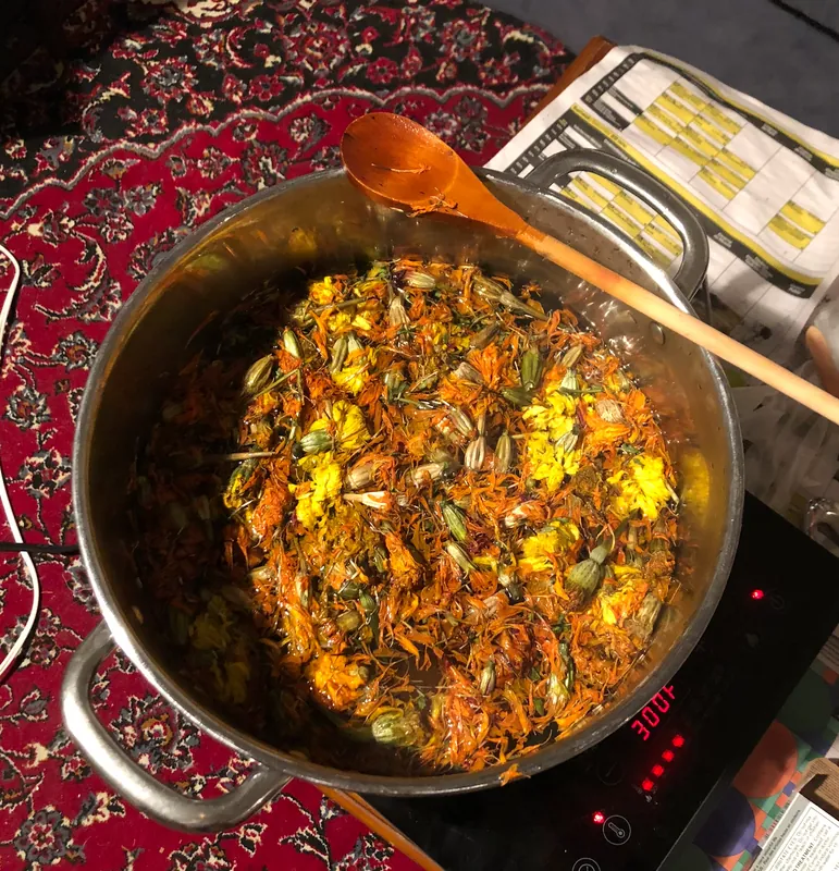 Two Day Workshop - Botanically-Dyed Textiles with Native Plants (NPS)