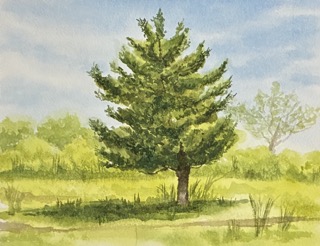 Intro to Landscape Painting From Photographic References