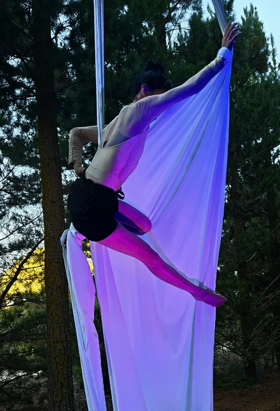 WEDNESDAYS (5.30 - 6.45pm) Adult Aerials (Silks)