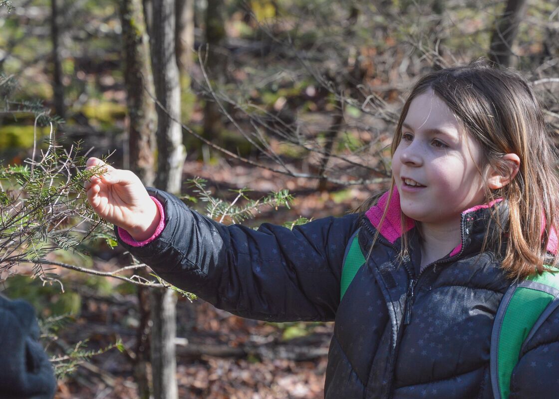 Homeschool in the Woods (Age 5-12)