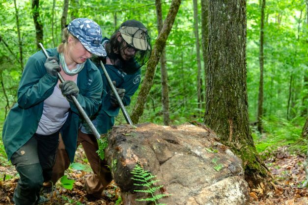 Teen Trail Crew: North Country Scenic Trail Construction