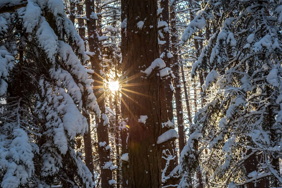 Winter Solstice Celebration