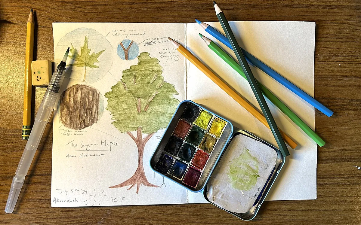 The Art of Exploration: An Introduction to Nature Journaling