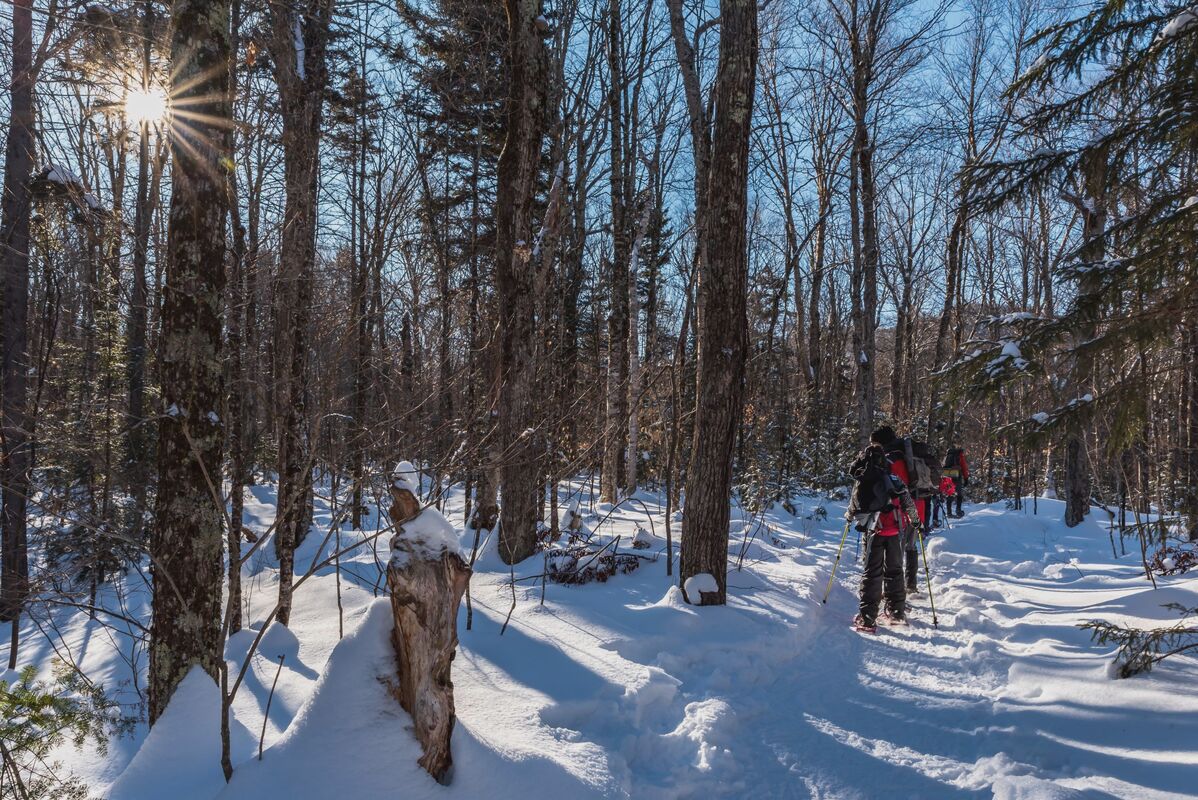 Winter High Peaks: Esther