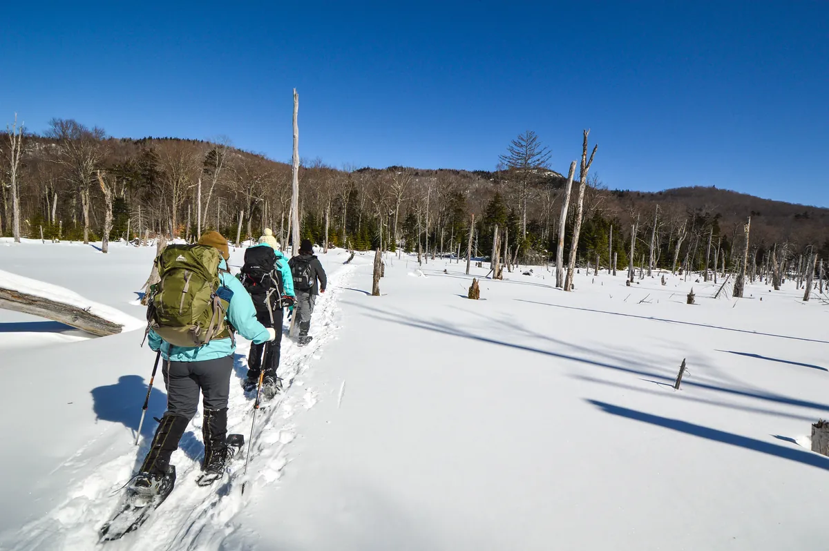Backcountry Snowshoeing for Beginners