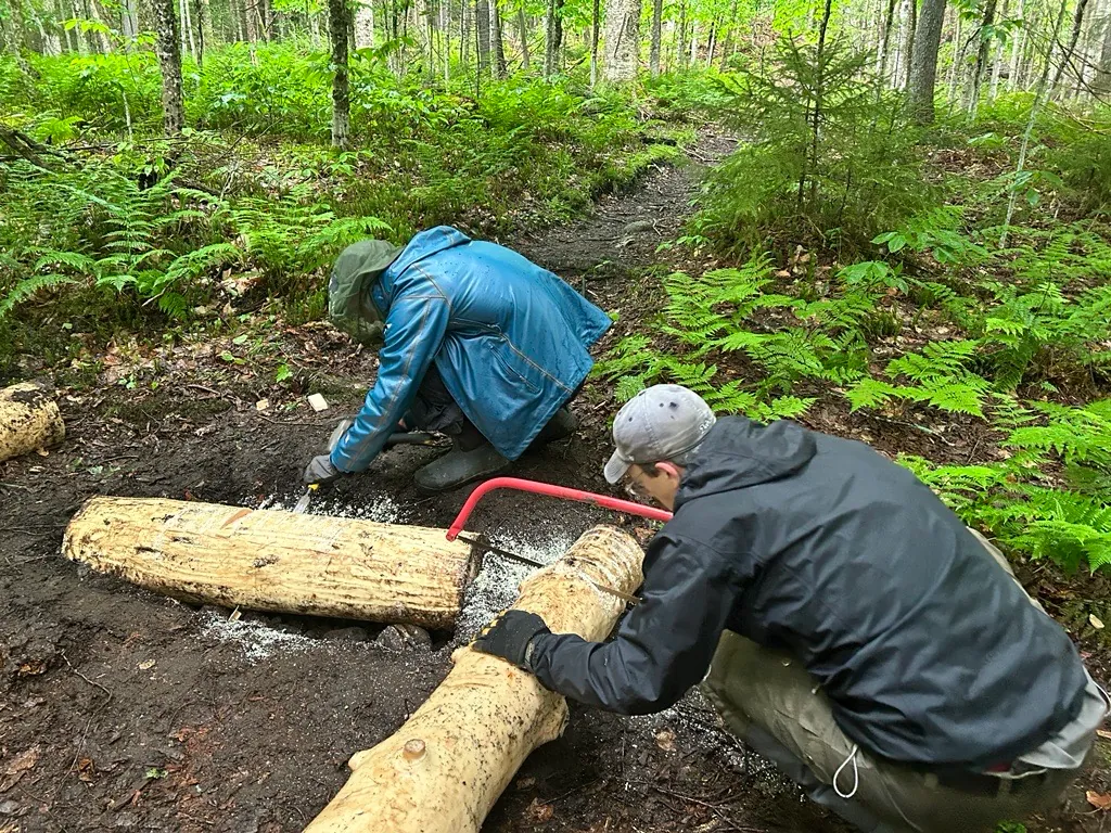 National Trails Day: Bridge Replacement on the Fanghorn Trail