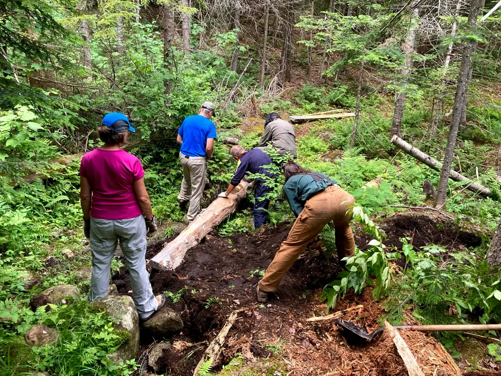 National Trails Day: Bridge Replacement on the Rimrock Trail