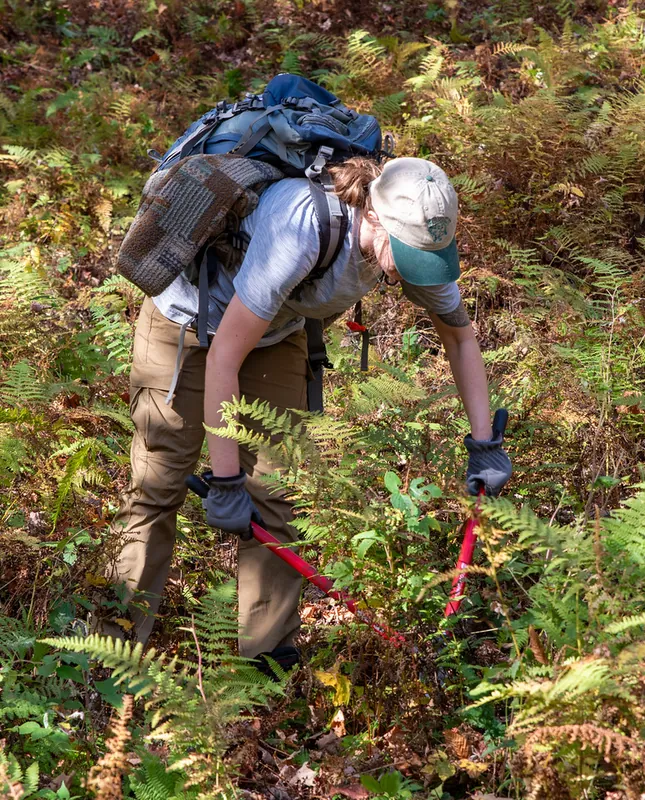 National Trails Day: Sidecutting