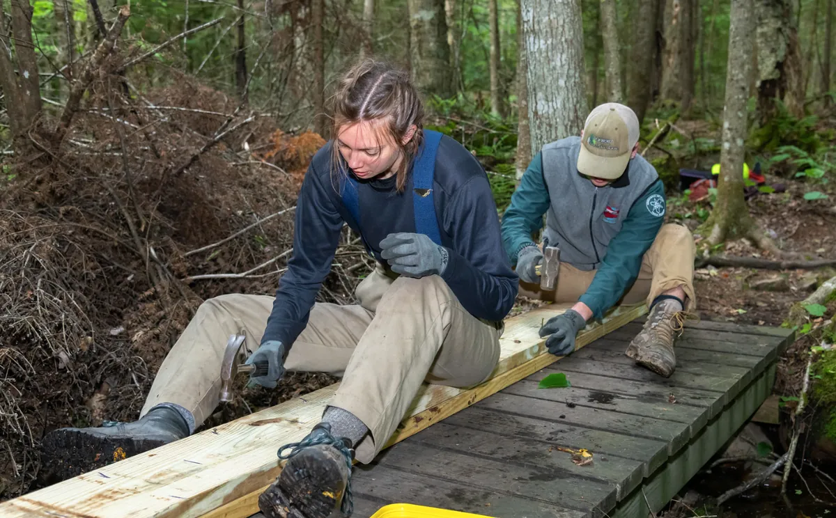 Teen Crew: Bridge Construction