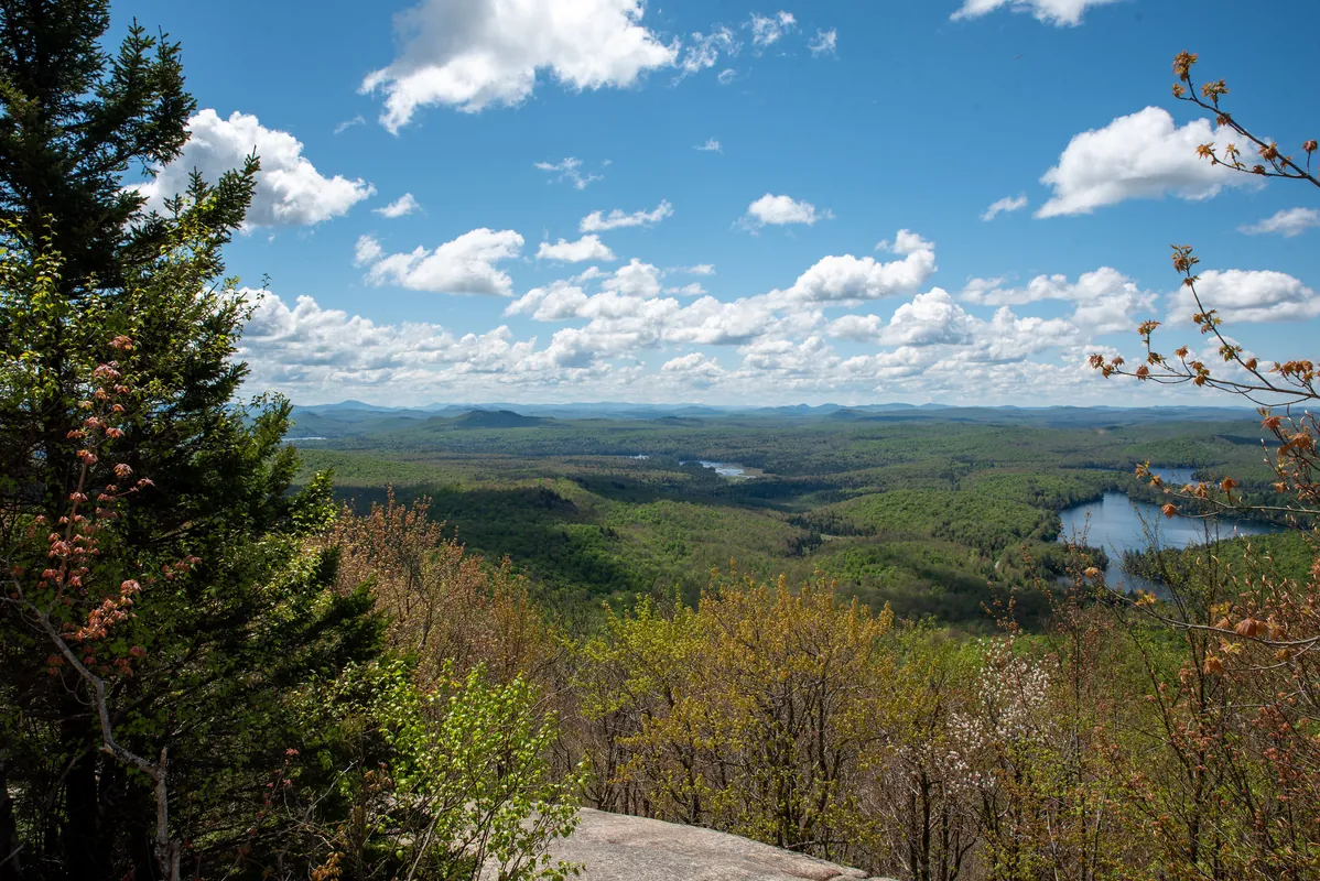 Fall Outing Hike: Mount Arab Fire Tower (Sun #6)