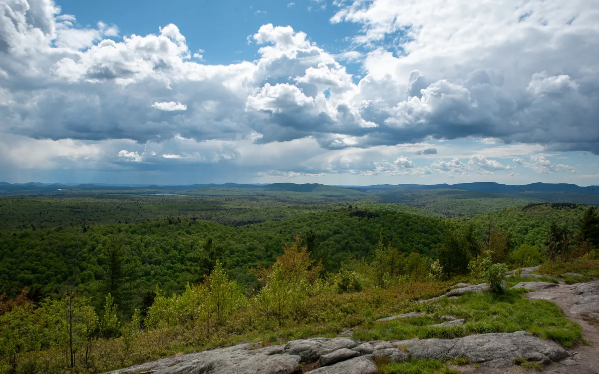 Fall Outing Hike: Coney Mountain (Sun #9)