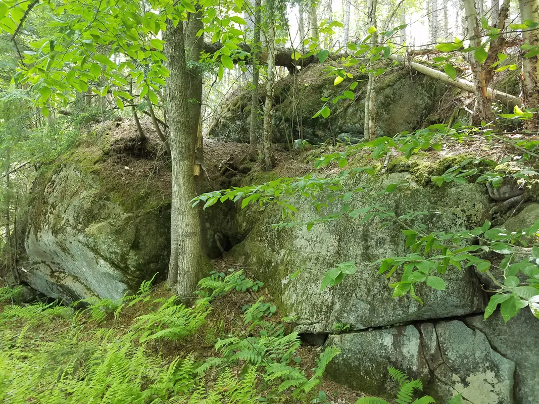 Rock Talk on the Trail