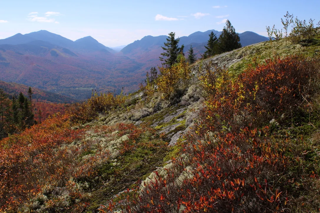 Hopkins Mountain
