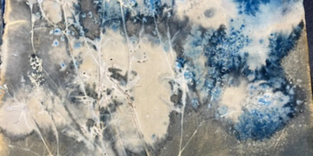 Wet Cyanotype with Suzanne Moseley