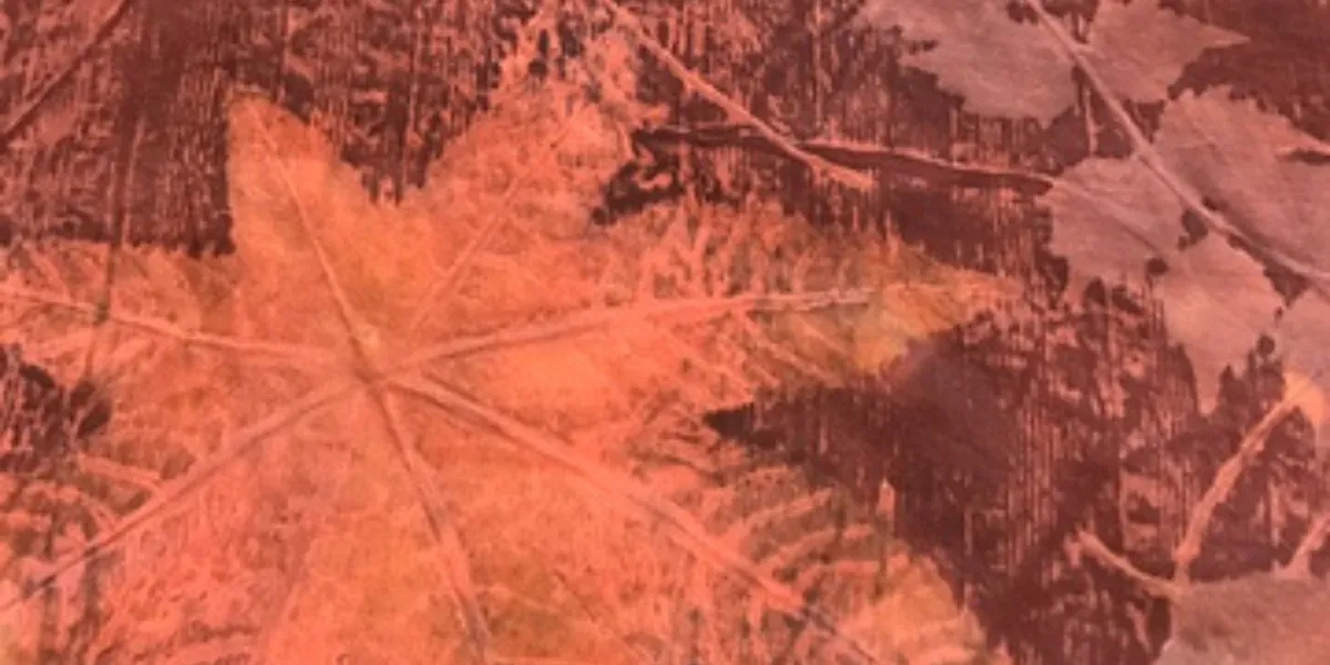 4 DAY BOTANICAL PRINT IMMERSIVE