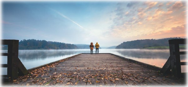 Mindful Renewal Series  (Virtual )