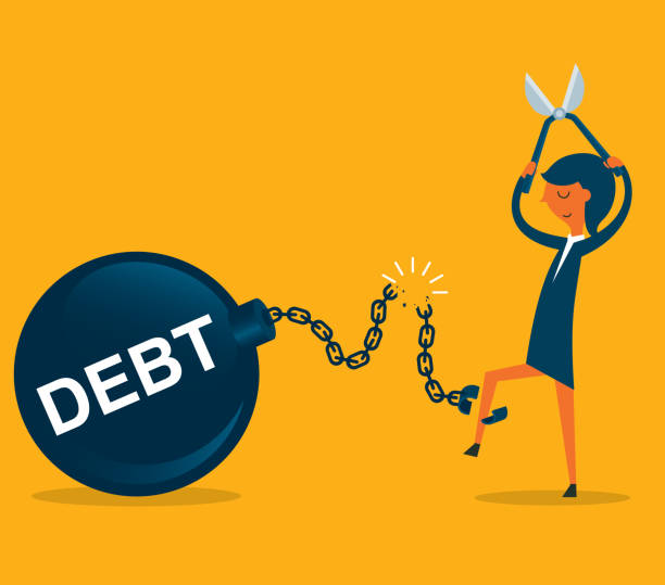 LUNCH and LEARN:  Bedford County - Debt Management Workshop
