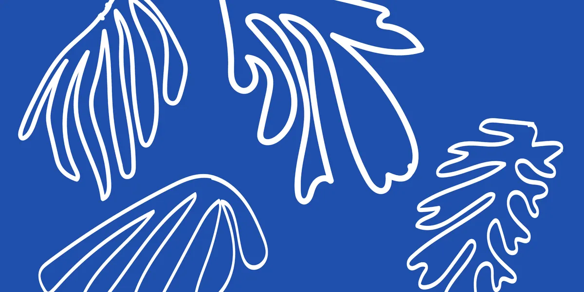 Paint Like... MATISSE!