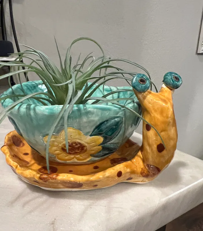 Snail Planter/Adult