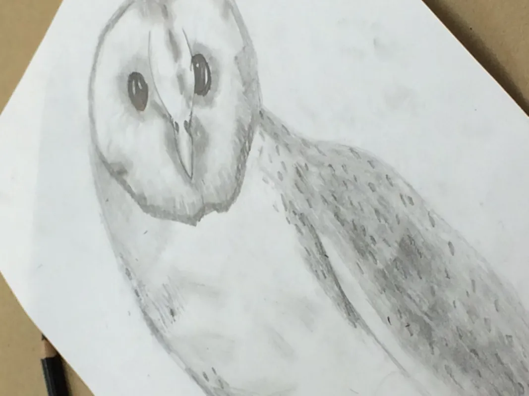 Mixed Media Homeschool Art Class 8+ (10/5/26-10/26/26)