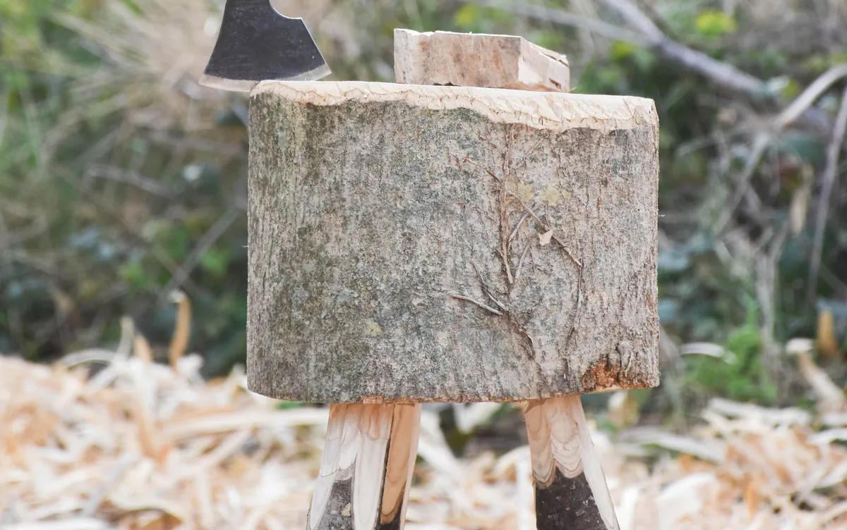 One-day Chopping Block / Mallet