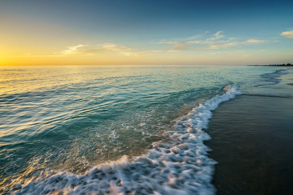 'Introduction to Photography' Creating Art with Mindfulness