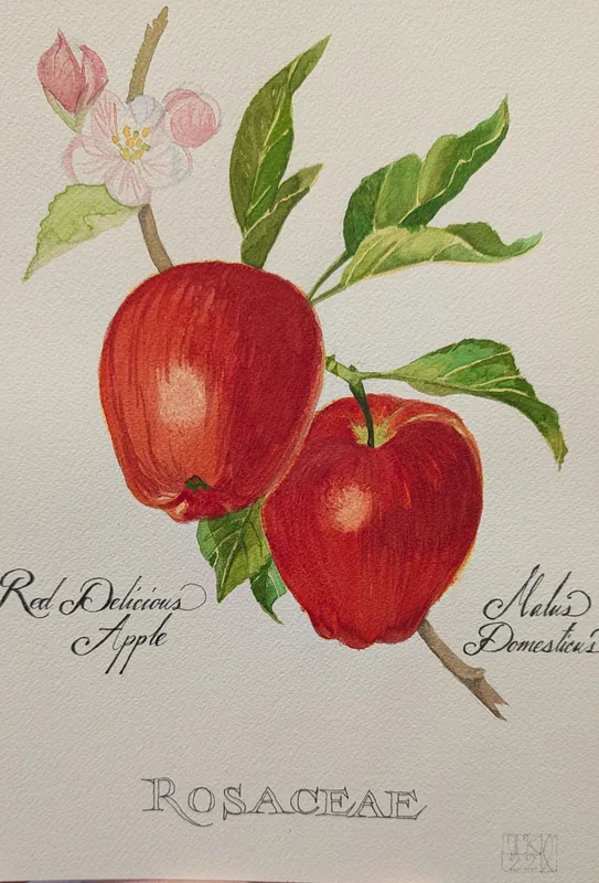 Watercolour for Adults
