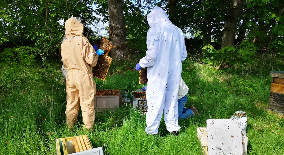 East of Scotland Beekeepers Association - Beginners Class 2026
