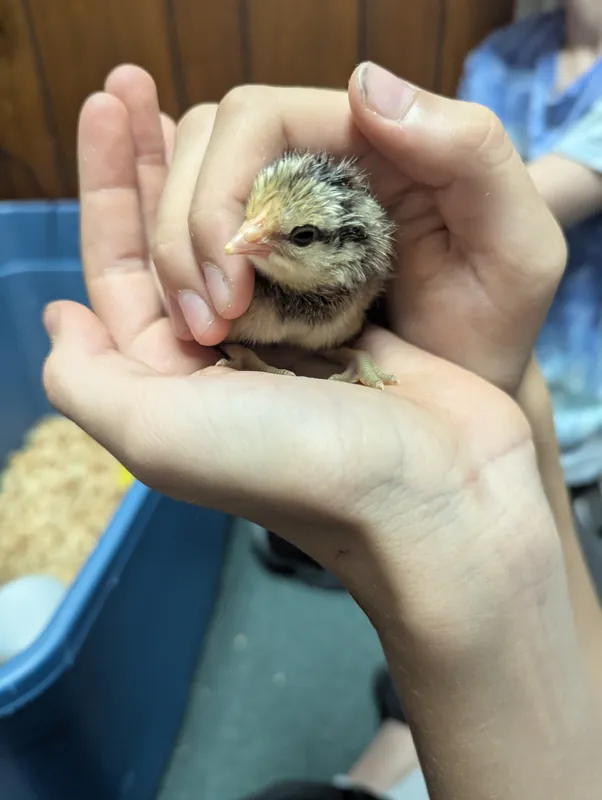 2025-2026 Biology #2 of 5 (October & November)
