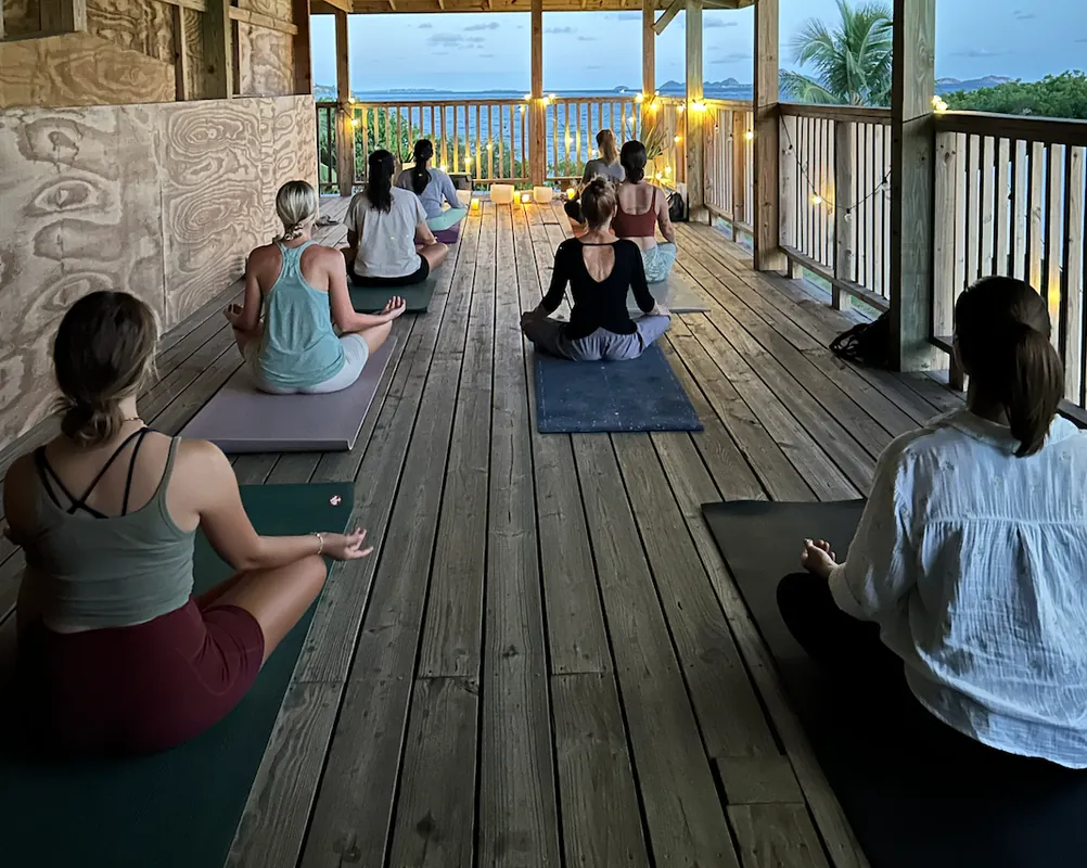 Afternoon All Levels Vinyasa Flow