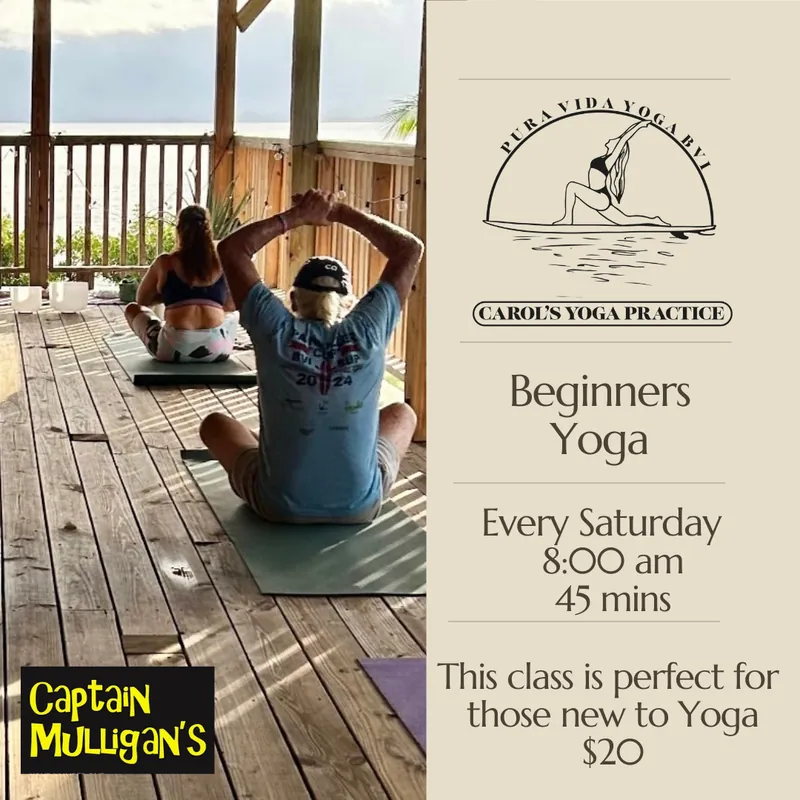 Beginners Vinyasa Yoga Flow