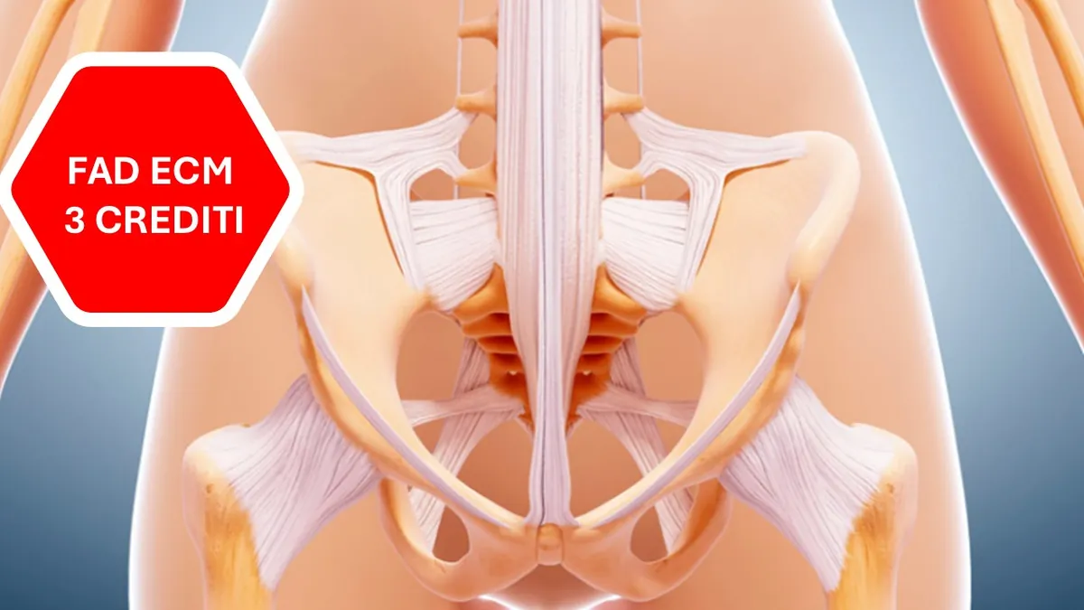 CORSO FAD ECM "Il pavimento pelvico e la riabilitazione"