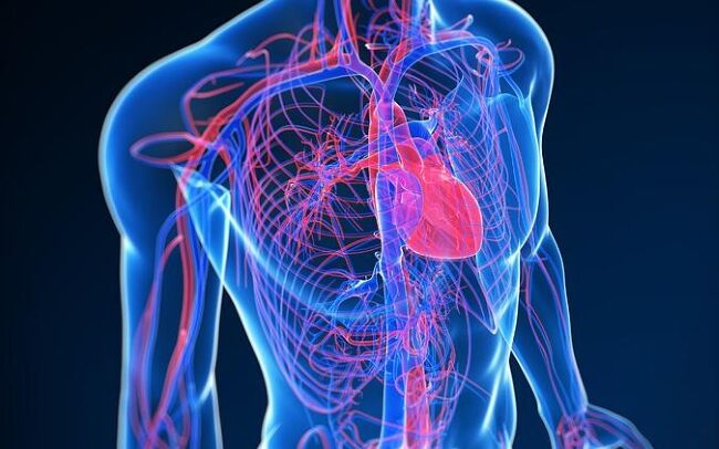 Workshop "Accessi vascolari in emergenza" (Congresso SAQURE 2026)