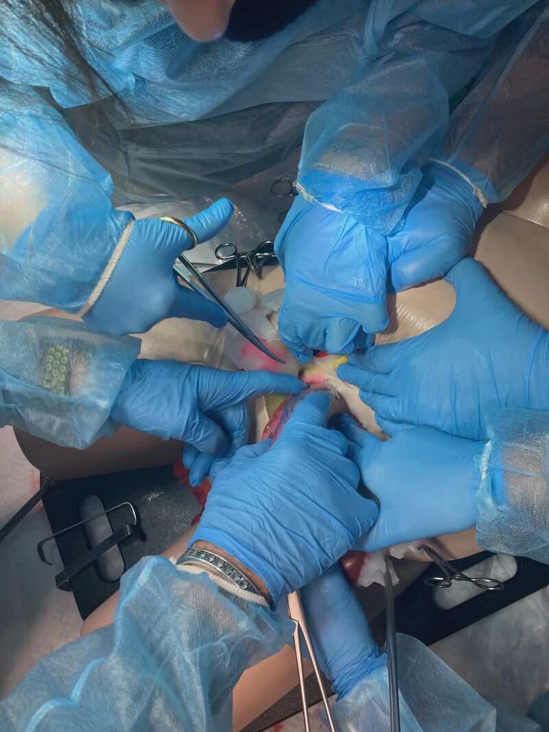 Corso ECM "Il laboratorio di chirurgia ostetrica"