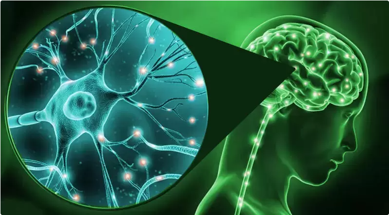 CORSO FAD "STRUMENTI DI VALUTAZIONE PER LA DIAGNOSI DIFFERENZIALE NELLE DEMENZE"