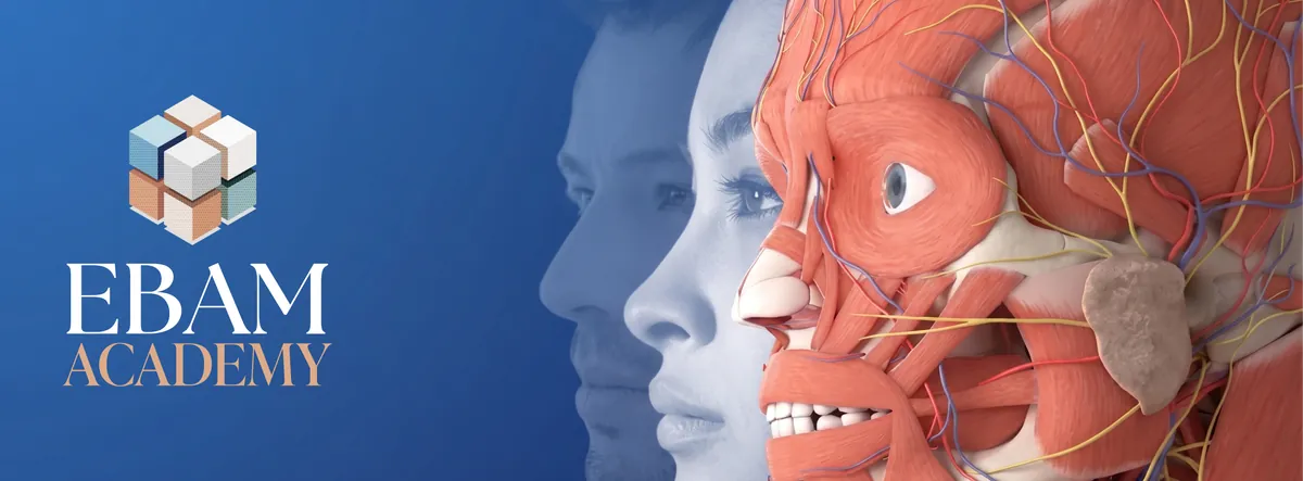 EBAM Academy - Anatomia del Volto e del Collo