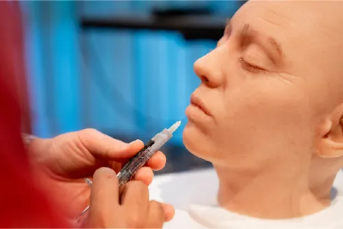 Simulazione clinica e anatomia ecografica del volto - Corso teorico pratico di Ecografia in Medicina estetica
