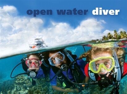 Formation niveau 1 (PADI Open water diver OWD)  - piscine option AVRIL