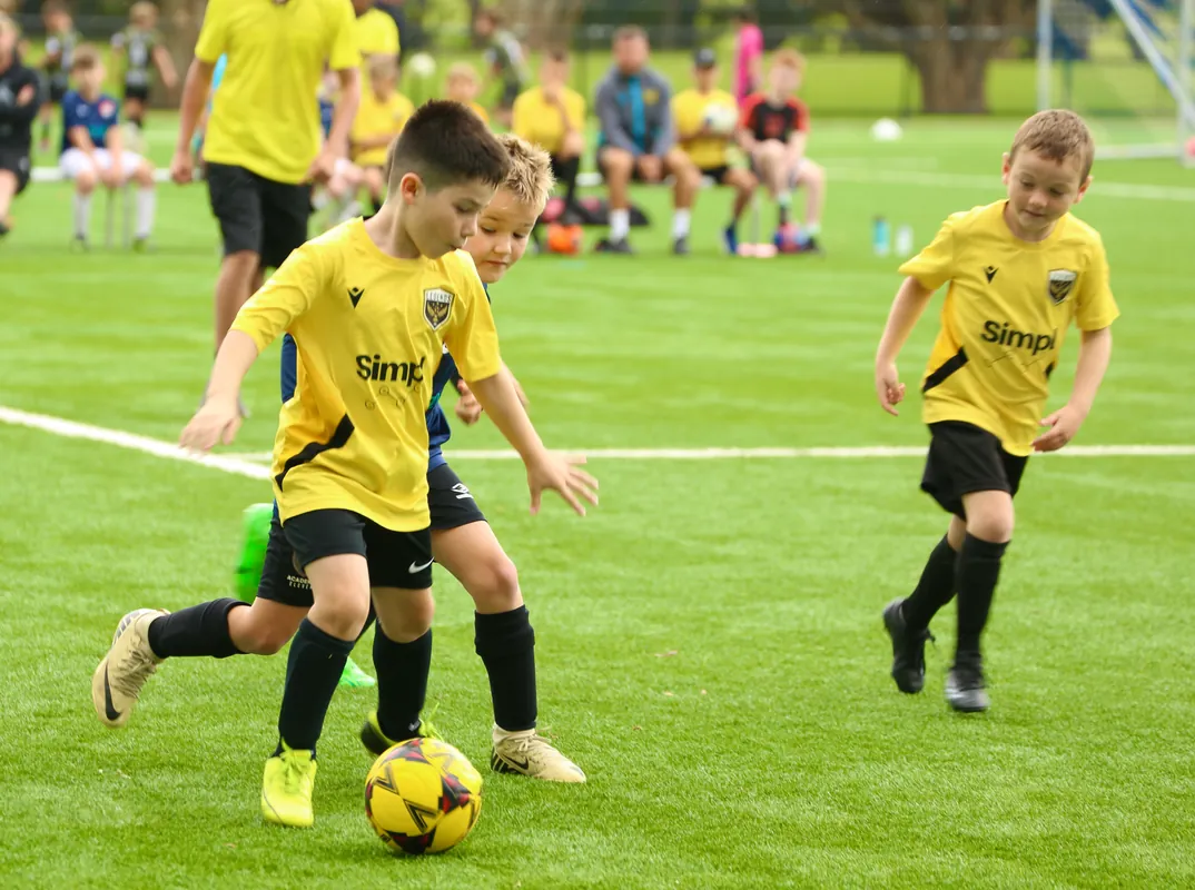 Next Level Training - Term 3, 2025