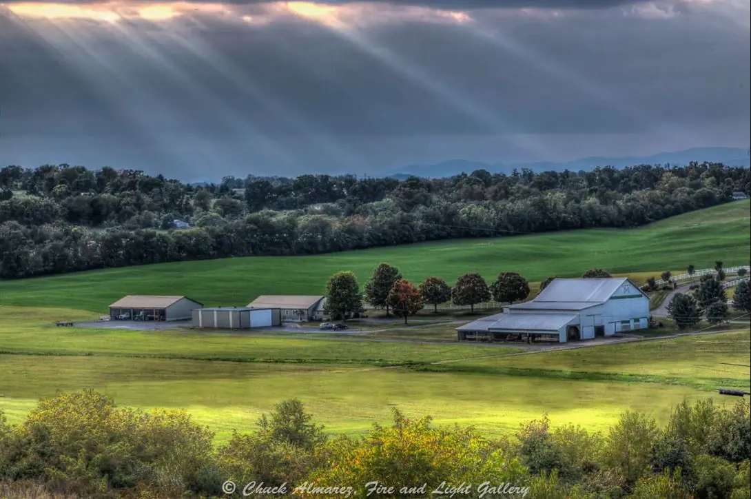 Understanding Your Digital Camera