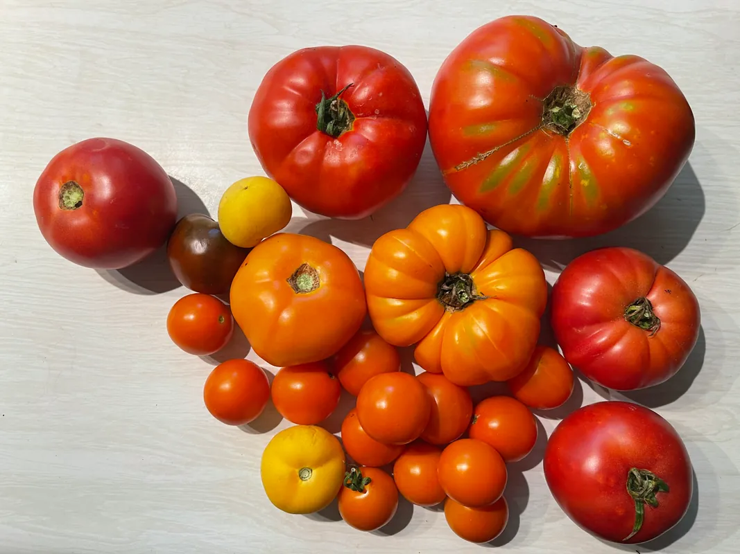 Appalachian Kitchen Gardening: Grow Where You Are, With What You Have