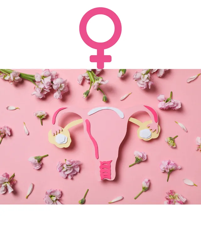 Gynaecology for Nurses and AHP's: A Life Course Approach