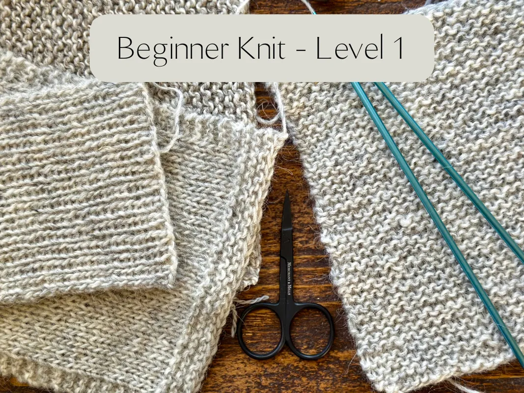 Beginner Knitting - Level 1