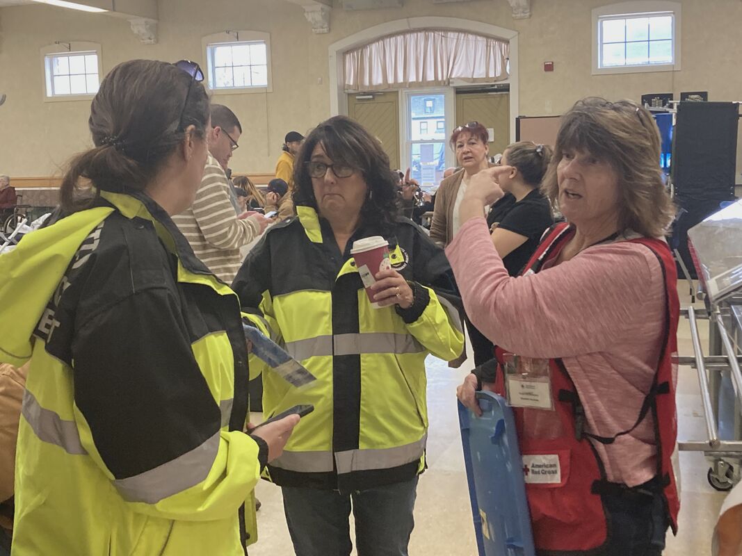 Adult First Aid/CPR/AED