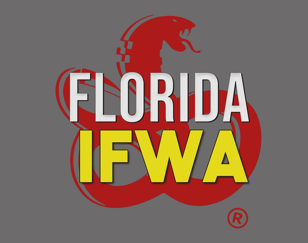 In-Fight-Weapons-Access - Florida